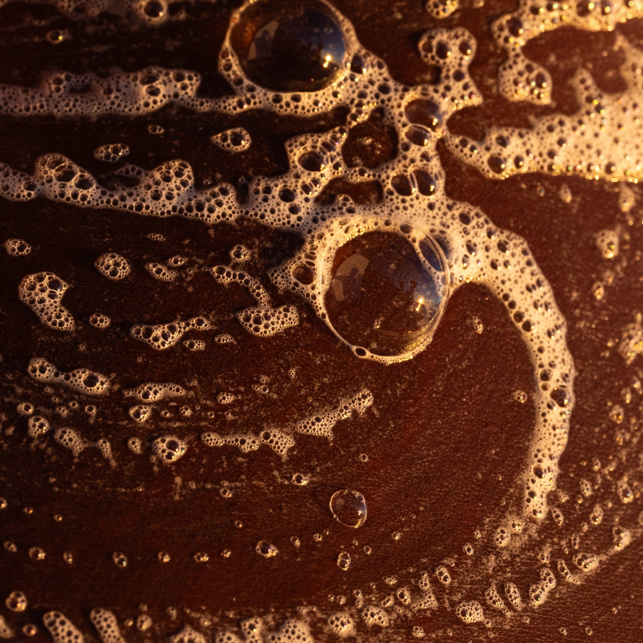Hydrating Argan Body Wash - Image 6